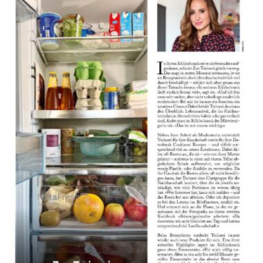 Marmite-Kuehlschrank-Cookinesi